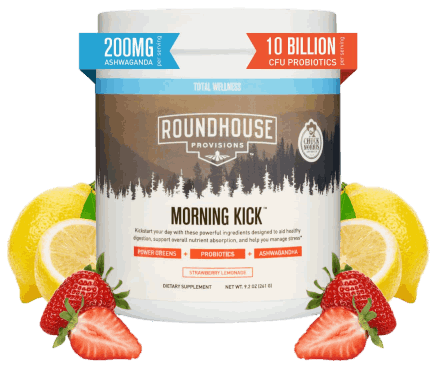 buy Roundhouse Morning Kick