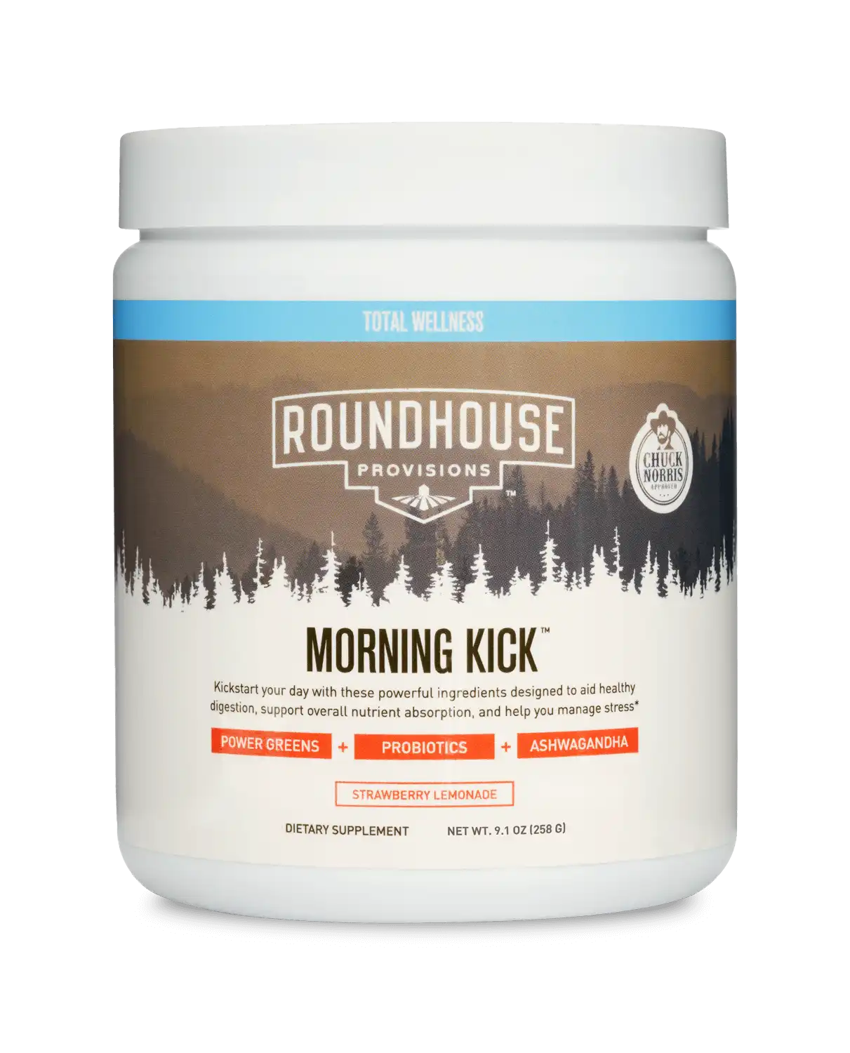 Roundhouse Morning Kick